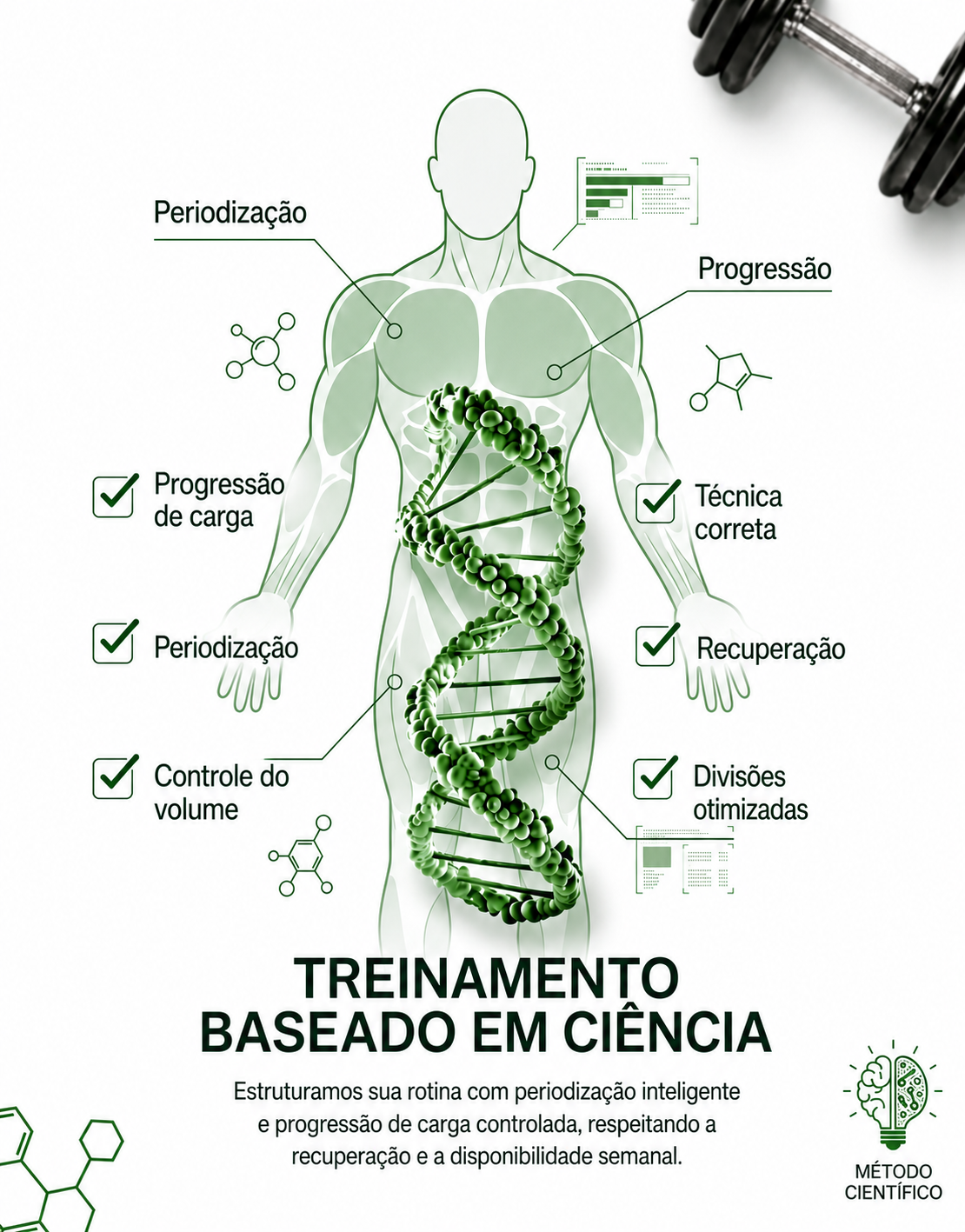 Treinamento baseado em ciência: periodização, progressão de carga e recuperação